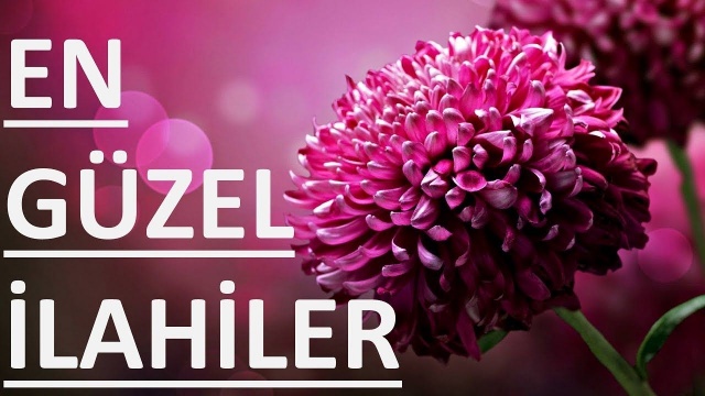 Dünyayı ağlatan ilahiler - Birbirinden güzel ilahiler  - Grup Anka 2014 - 2015 - 2016  