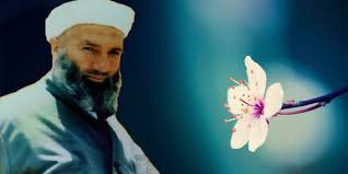 Abdülkadir Şehitoğlu Dön Allaha  