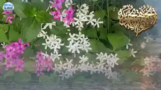 HÜZÜNLÜ ÖZLEM İLAHİLERİ 