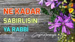 Ne Kadar Da Sabırlısın YA RABBİ- Cengiz NUMANOĞLU