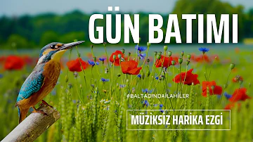 GÜN BATIMI harika bir ezgi - Müziksiz İlahiler 2023