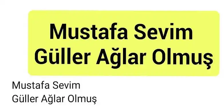 Mustafa Sevim - Güller Ağlar Olmuş Mp3